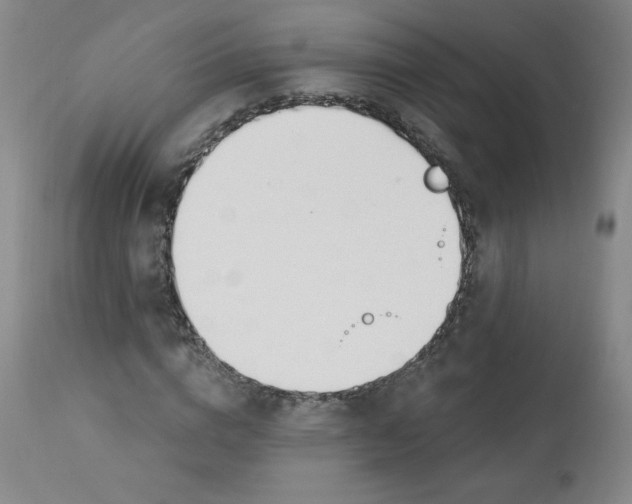 X0000112840824200909111419