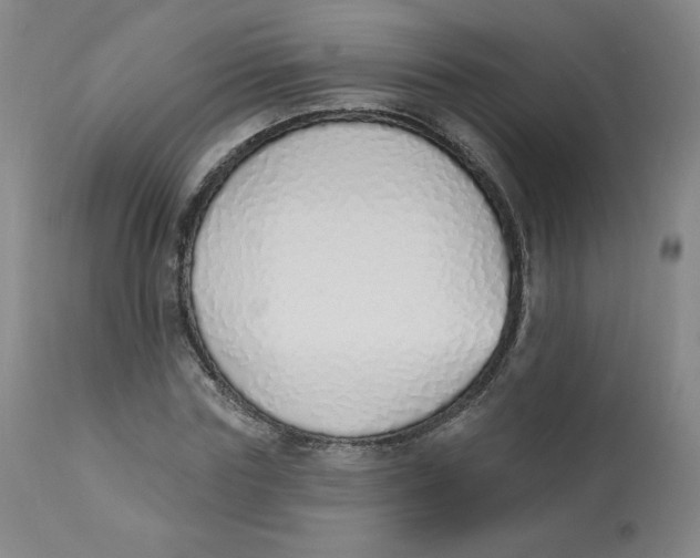 X0000112840827200909111419