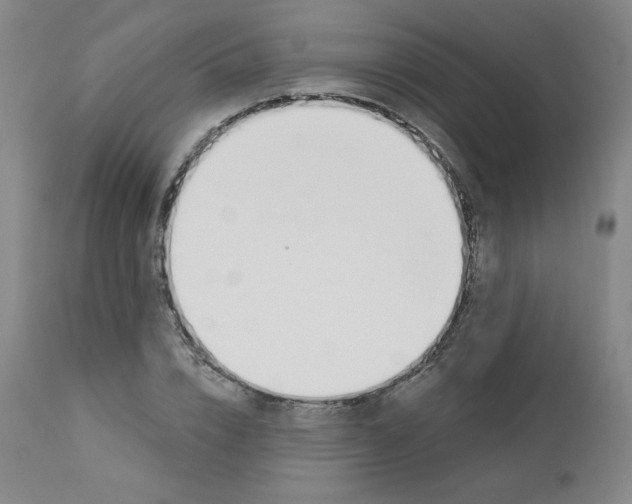 X0000112840832200909111420