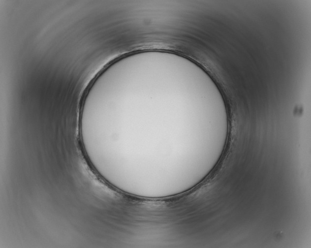 X0000112840844200909111420