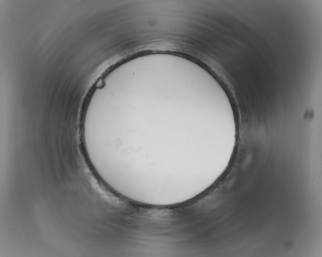 X0000112840845200909111420