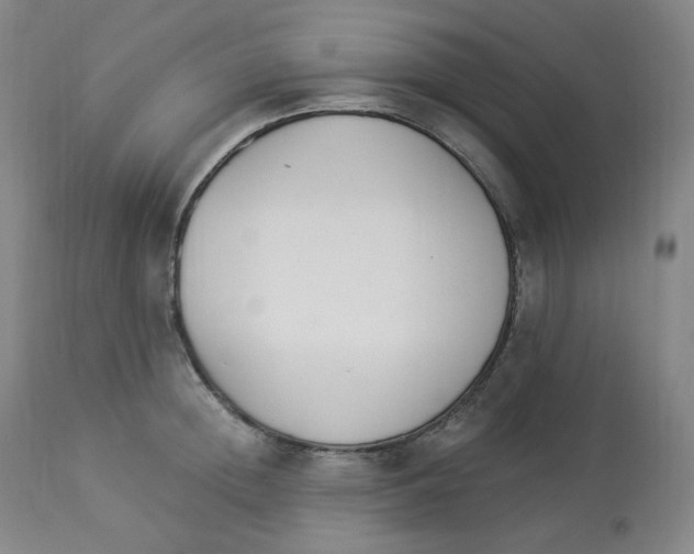 X0000112840852200909111420