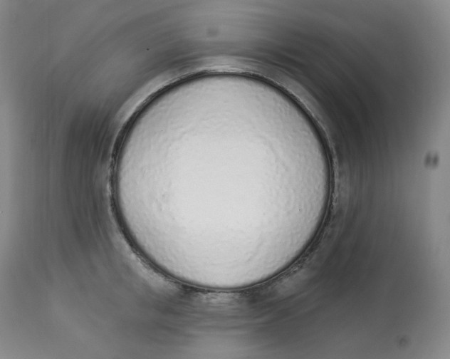 X0000112840853200909111420