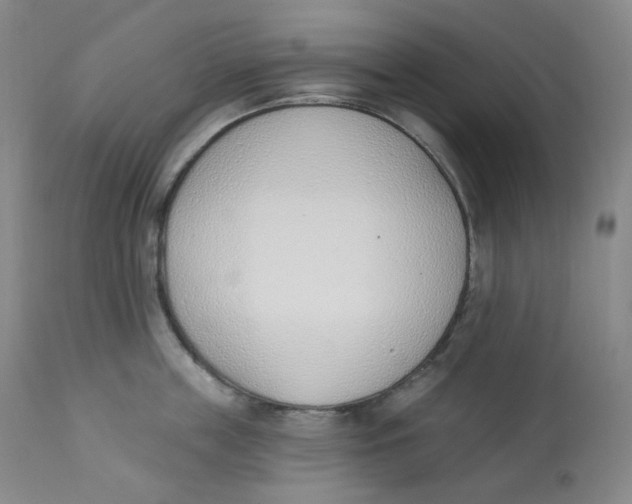 X0000112840859200909111420