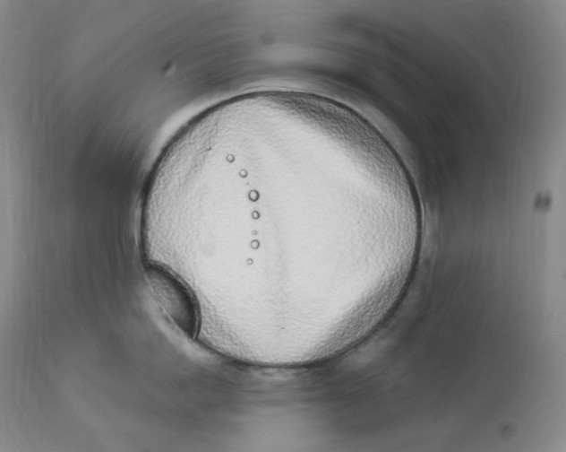 X0000112840862200909111420