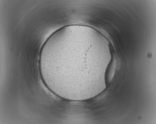 X0000112840863200909111420