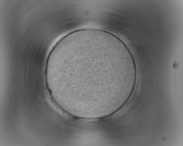 X0000112840864200909111420