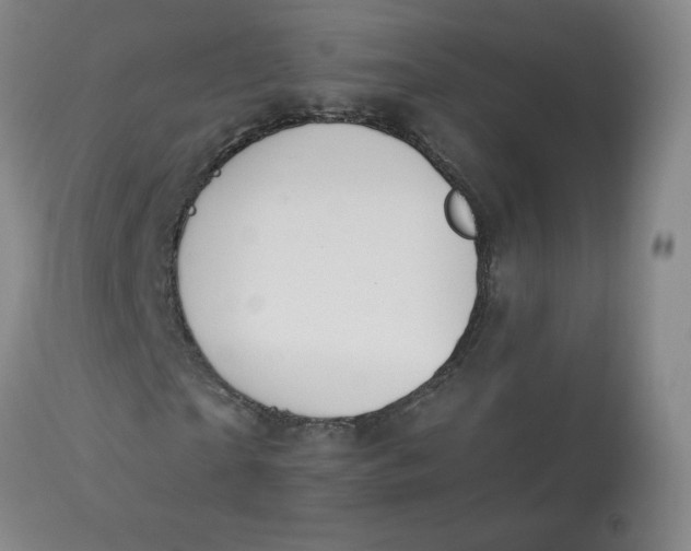 X0000112840865200909111419