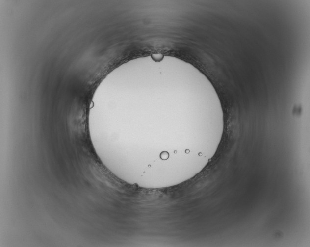 X0000112840866200909111419