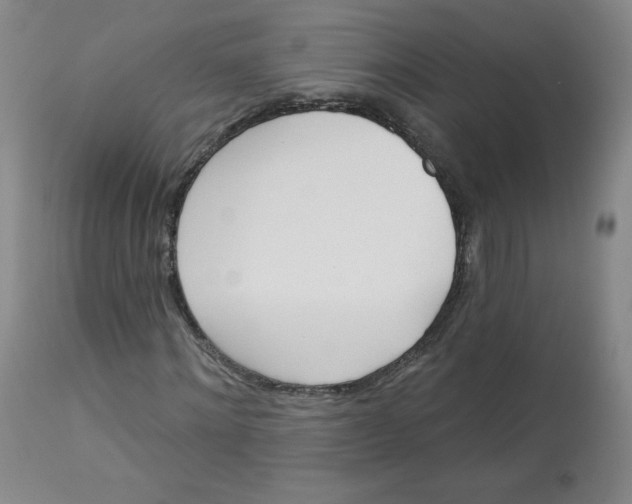 X0000112840868200909111419