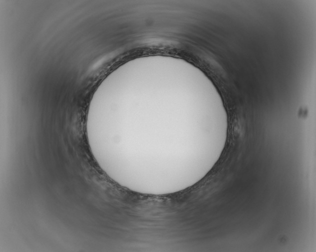 X0000112840869200909111419