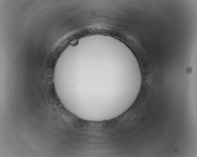 X0000112840870200909111419