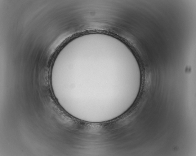 X0000112840878200909111419