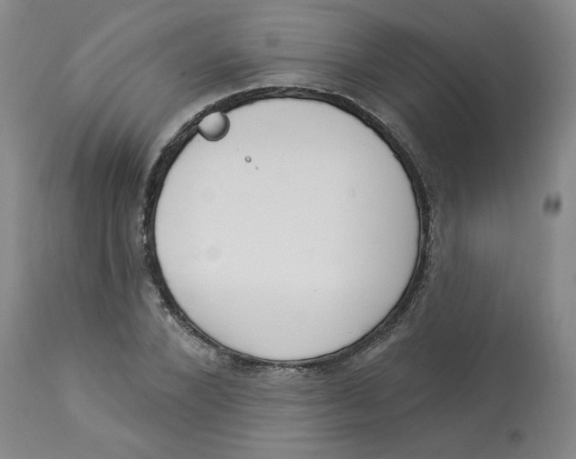 X0000112840880200909111419