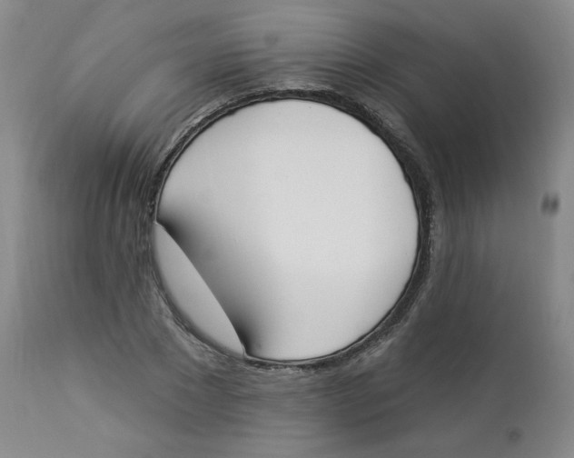 X0000112840881200909111419