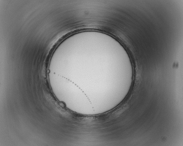 X0000112840883200909111419