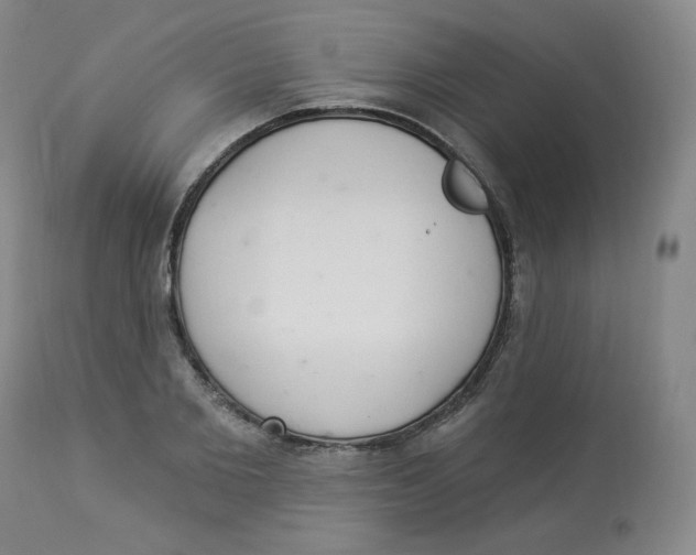 X0000112840885200909111419