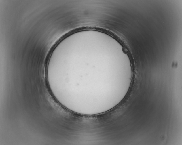 X0000112840887200909111419