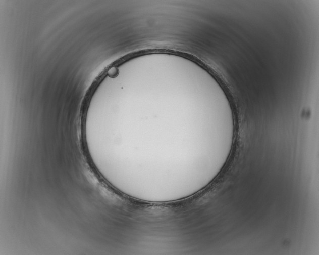 X0000112840888200909111419