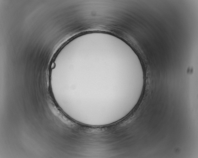 X0000112840892200909111419