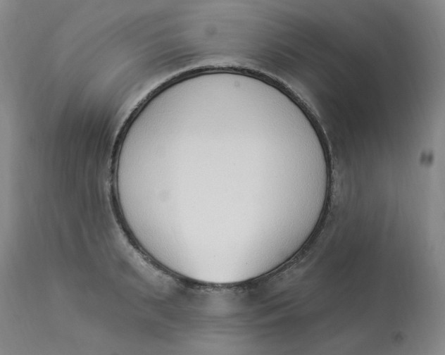 X0000112840895200909111419