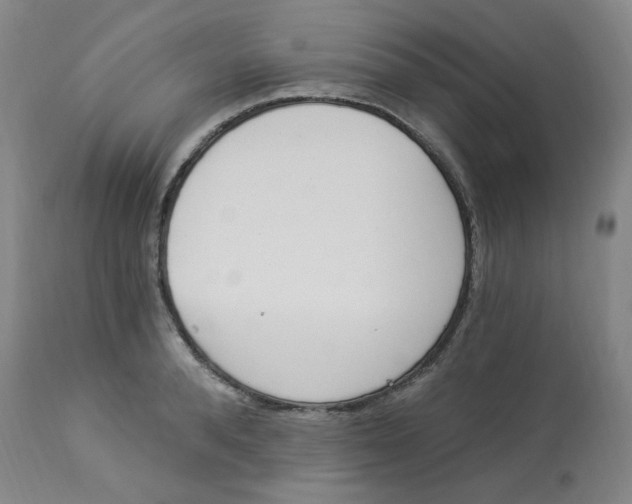 X0000112840896200909111419