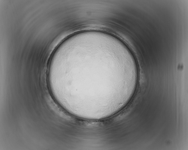 X0000112840899200909111419