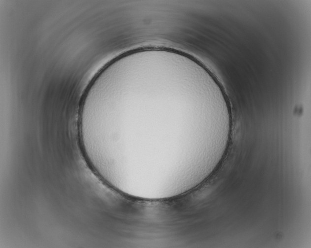 X0000112840903200909111419