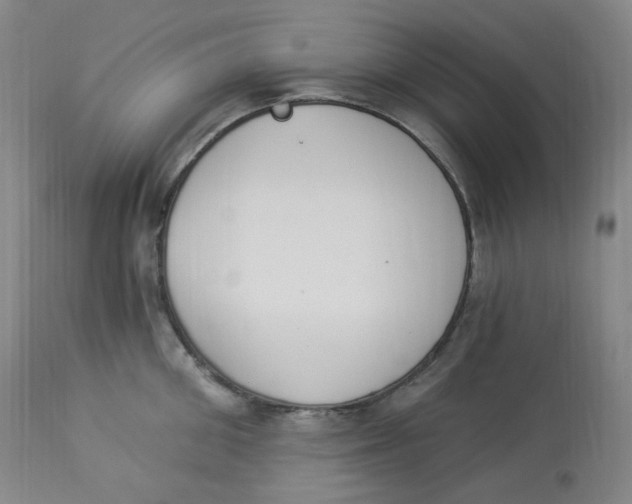 X0000112840906200909111419