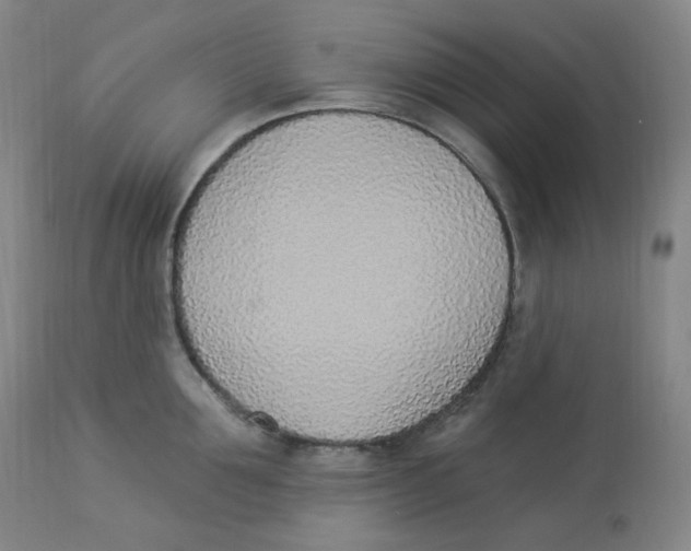 X0000112840907200909111419