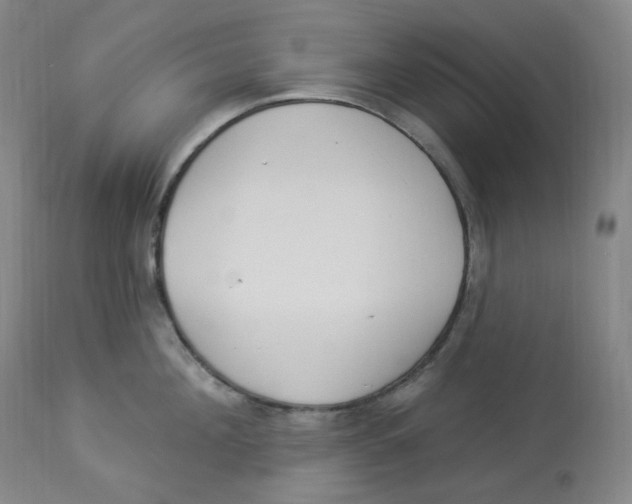 X0000112840908200909111419