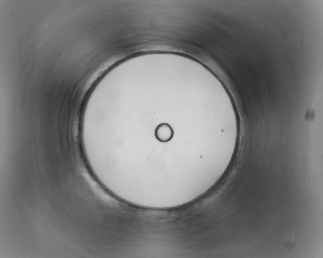 X0000112840909200909111419