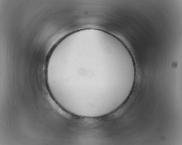 X0000112840910200909111419