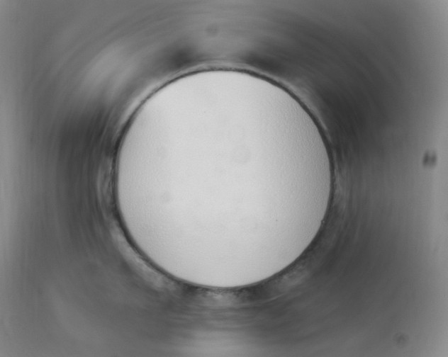 X0000112840911200909111419