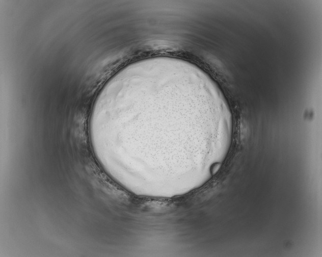 X0000112840917200909111418