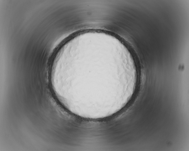 X0000112840925200909111418