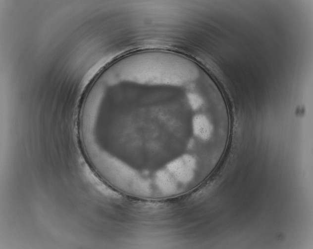 X0000112840941200909111418