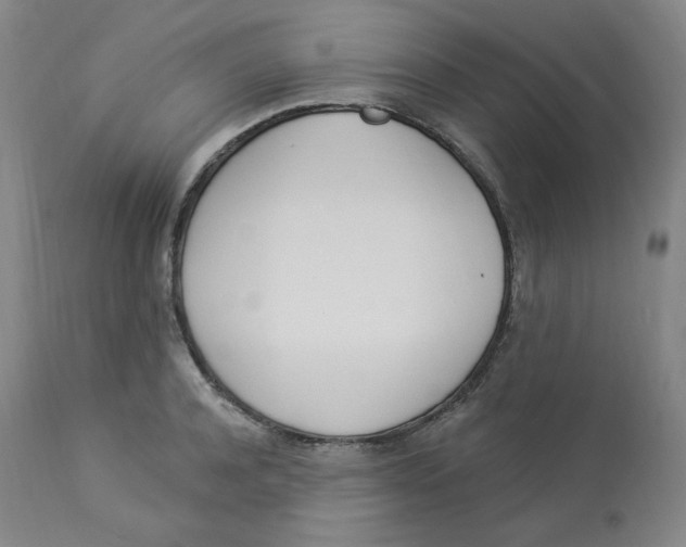 X0000112840944200909111418