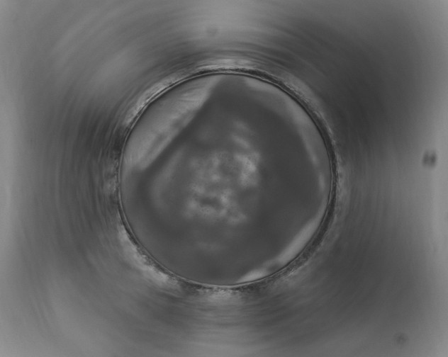 X0000112840945200909111418