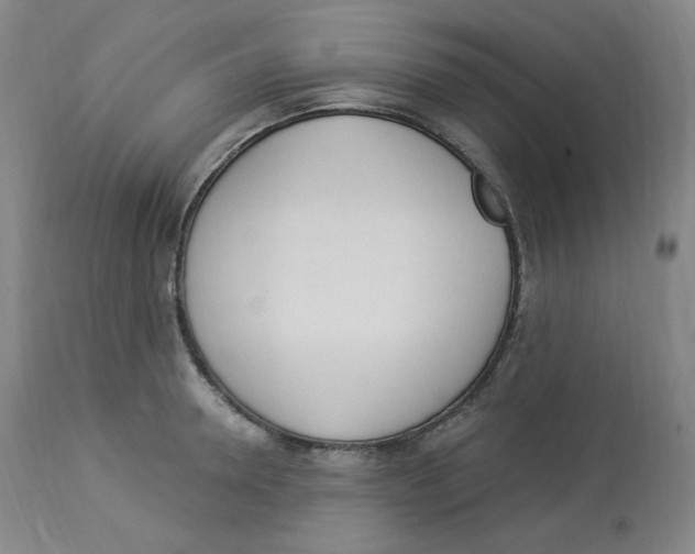 X0000112840946200909111418