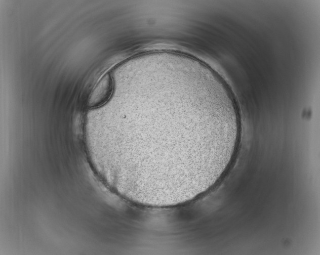 X0000112840953200909111418