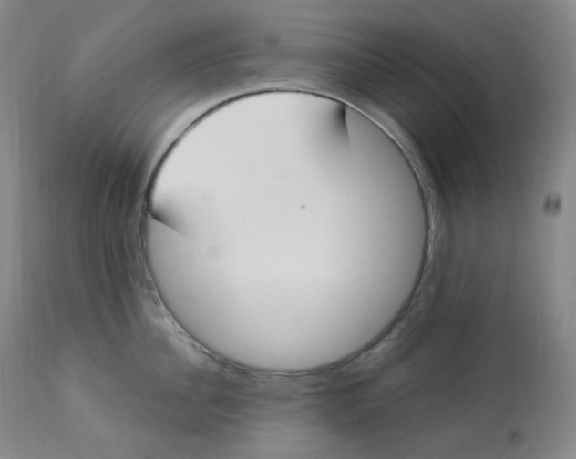 X0000112840956200909111419