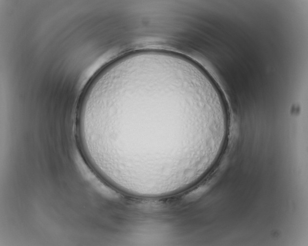 X0000112840957200909111419