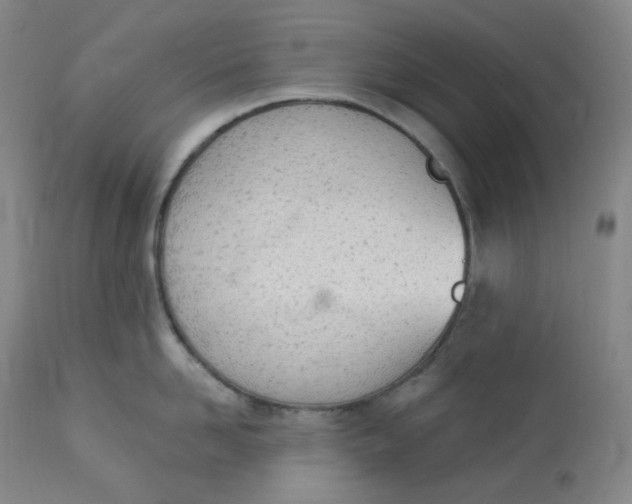 X0000112840958200909111419