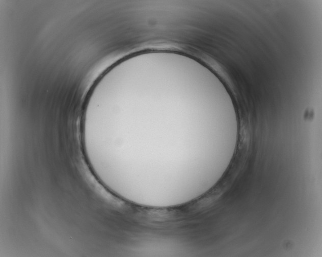 X0000112840959200909111419