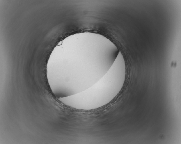 X0000112840961200909111418