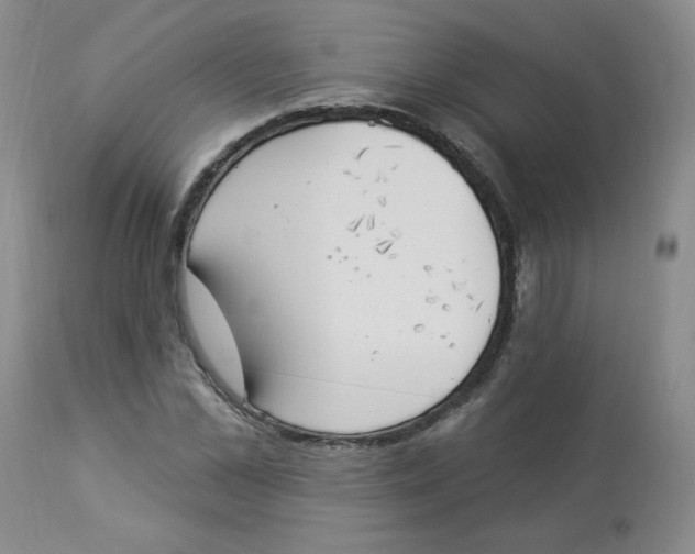 X0000112840973200909111418