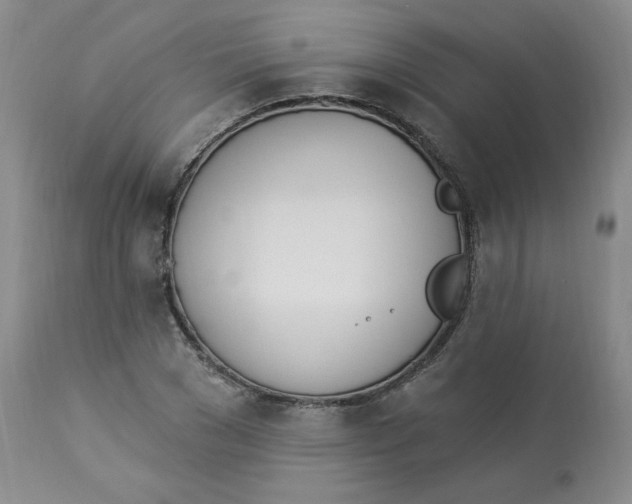 X0000112840977200909111418