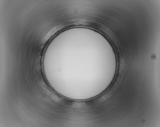 X0000112840978200909111418