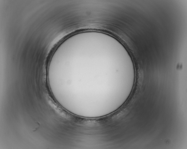 X0000112840982200909111418